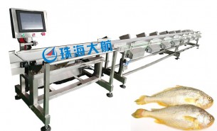 海鮮大小分級機 珠海大航供應(yīng) 15年匠心定制質(zhì)量保證